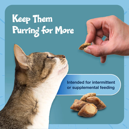 Bursts Crunchy & Creamy Cat Dry Treats, Great for Training, Seafood, 5-Oz. Bag