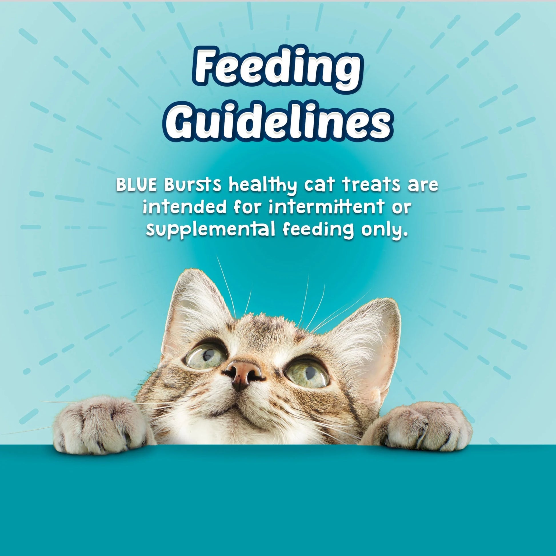 Bursts Crunchy & Creamy Cat Dry Treats, Great for Training, Seafood, 5-Oz. Bag